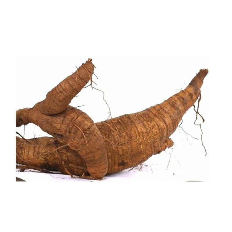 Bioherba Кудзу корен / Kudzu Root 350 mg x 100 капсули