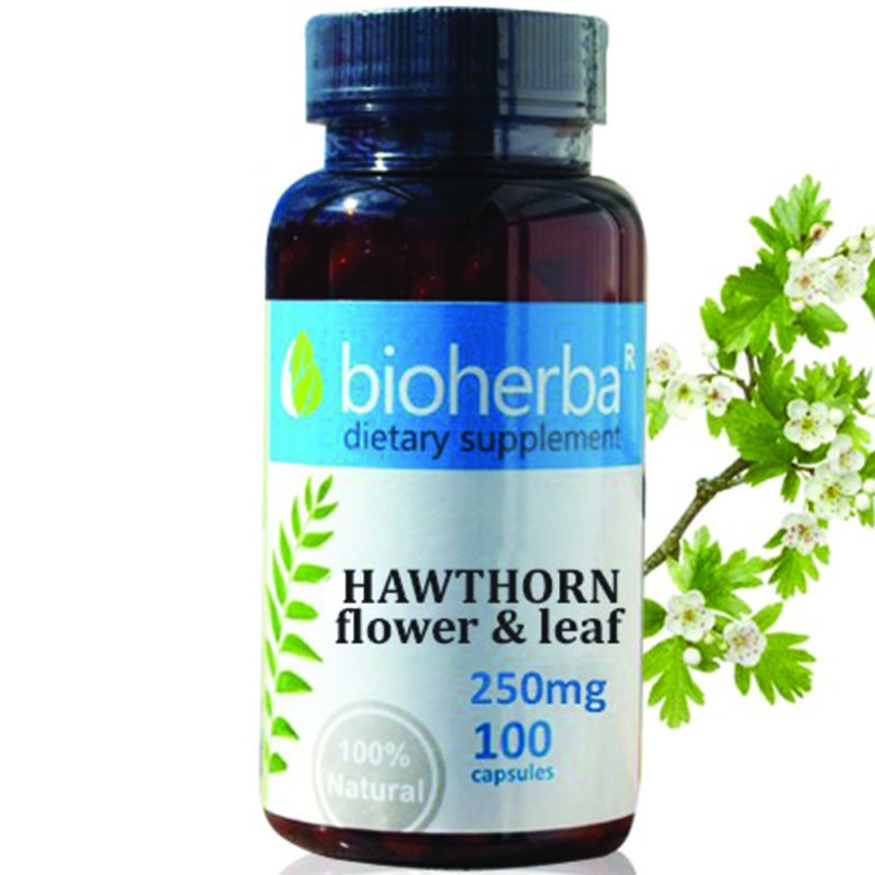 Bioherba Глог / Hawthorn 250 mg x 100 капсули