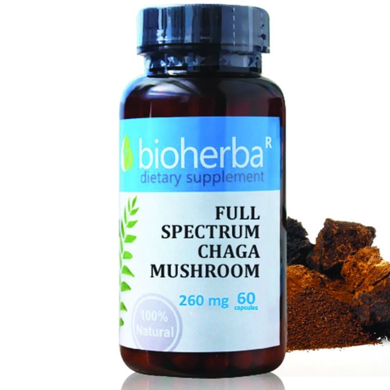 Bioherba Гъба Чага / Chaga Mushroom 260 mg x 60 капсули