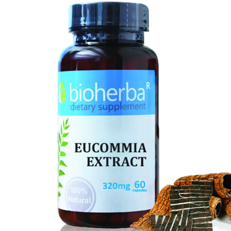 Bioherba Еукомия / Eucommia 320 mg x 60 капсули