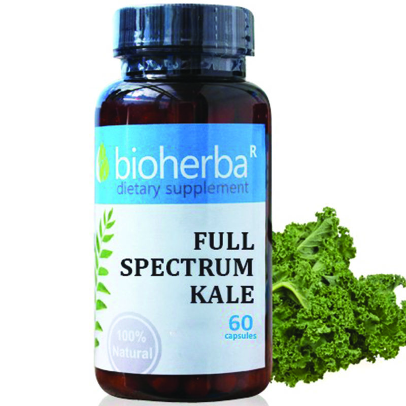 Bioherba Кейл / Full Spectrum Kale 260 mg x 60 капсули