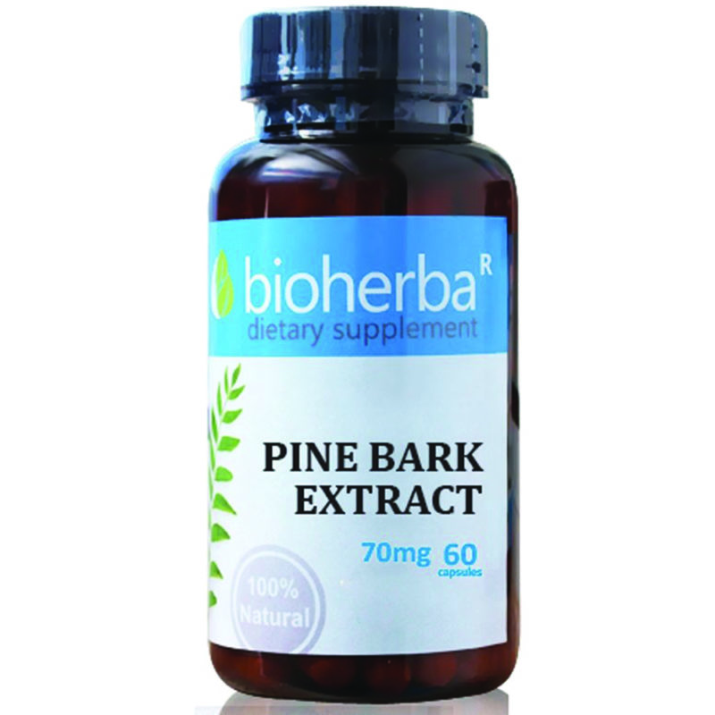 Bioherba Приморски бор / Pine Bark 70 mg x 60 капсули