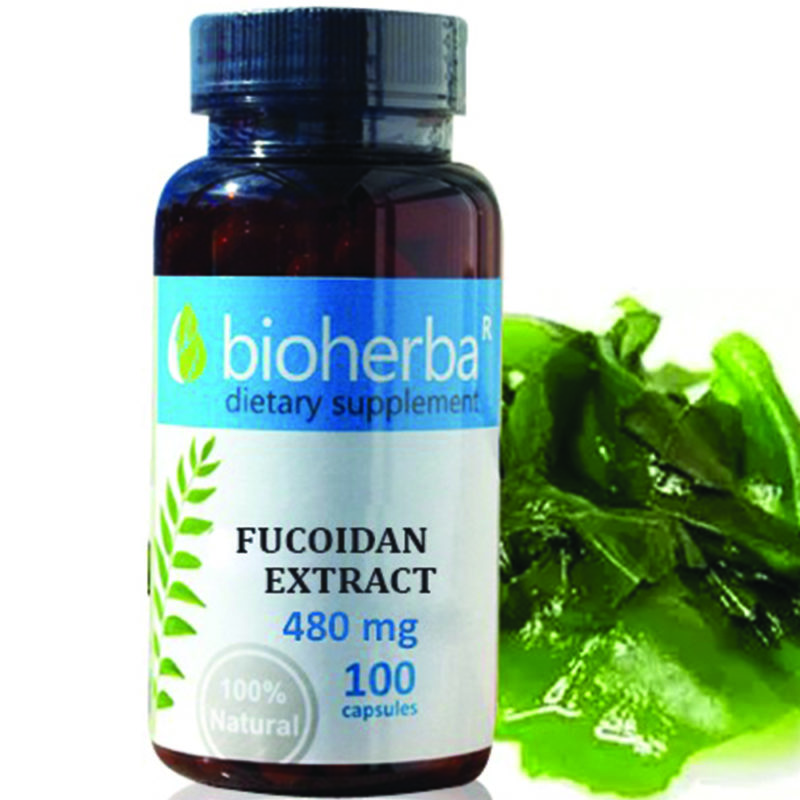 Bioherba Фукодан / Fucoidan 480 mg x 100 капсули