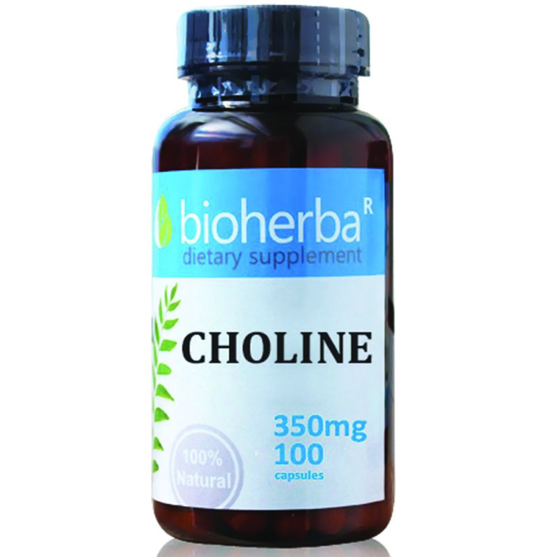 Bioherba Холин / Choline 350 mg x 100 капсули