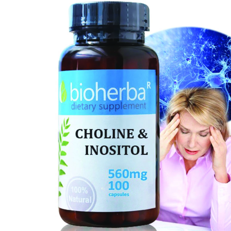 Bioherba Холин и Инозитол / Choline And Inositol 560 mg x 100 капсули