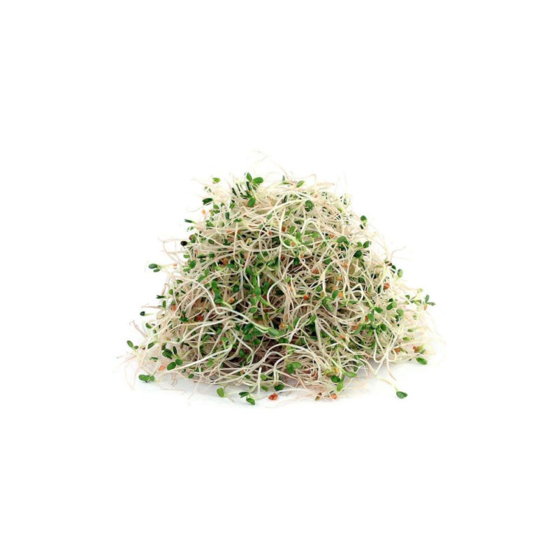 Bioherba Алфалфа лист / Alfalfa Leaf 200 mg x 60 капсули