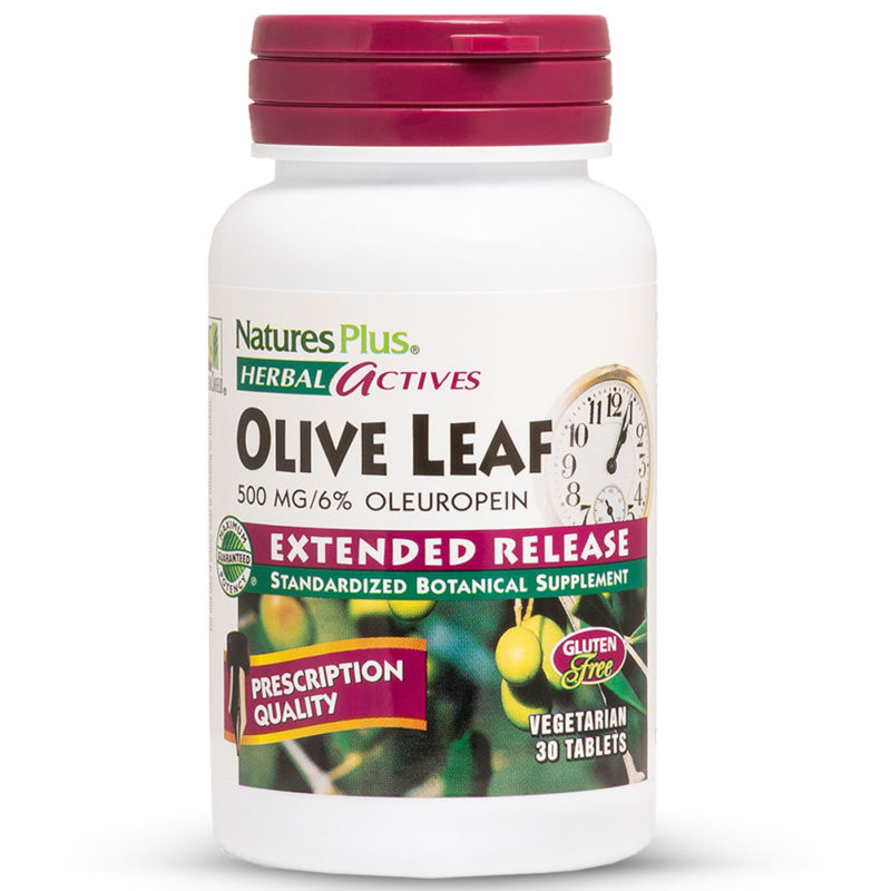 МАСЛИНОВ ЛИСТ / OLIVE LEAF Herbal Actives – 500mg x 30 таблетки