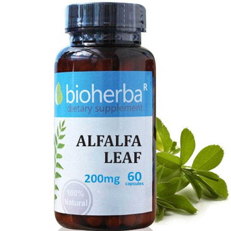 Bioherba Алфалфа лист / Alfalfa Leaf 200 mg x 60 капсули
