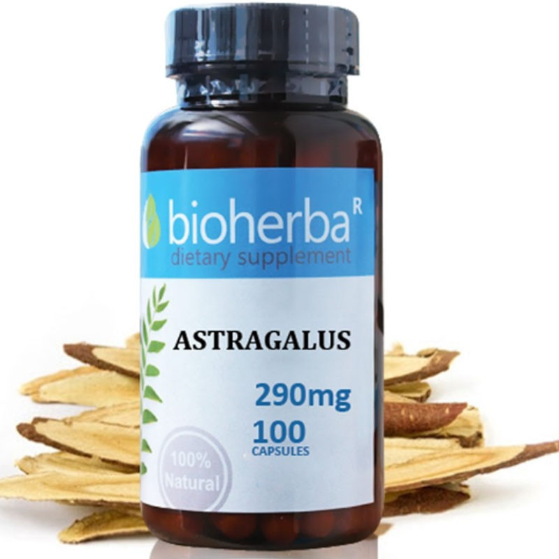 Bioherba Астрагал корен / Astragalus 290 mg x 100 капсули