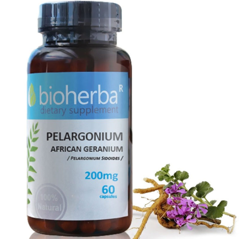 Bioherba Африкански Пеларгониум / African Geranium 200 mg x 60 капсули