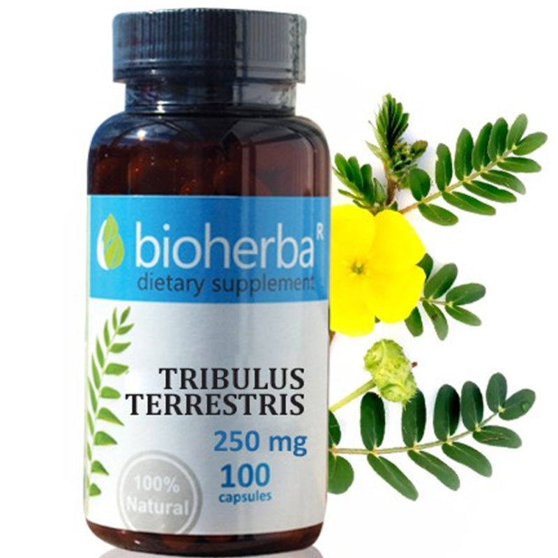 Bioherba Бабини зъби / Tribulus Terrestris 250 mg x 100 капсули