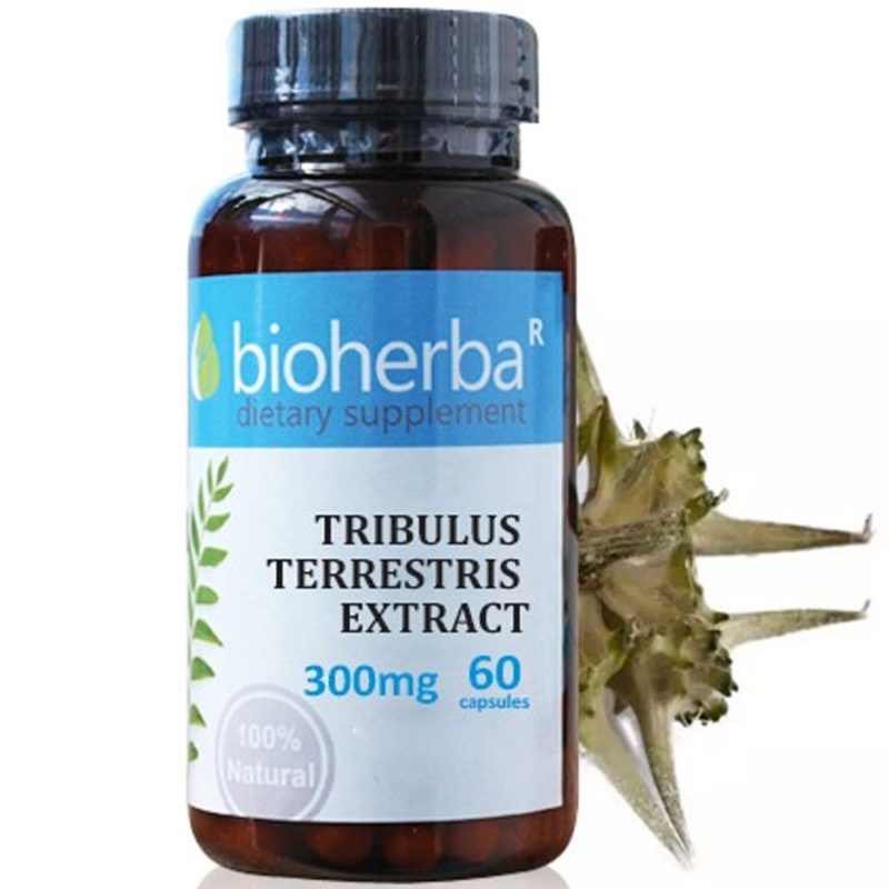 Bioherba Бабини зъби / Tribulus Terrestris 300 mg x 60 капсули