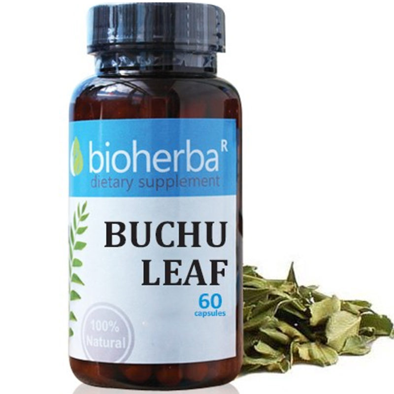 Bioherba Бучу лист / Buchu Leaf 100 mg x 60 капсули