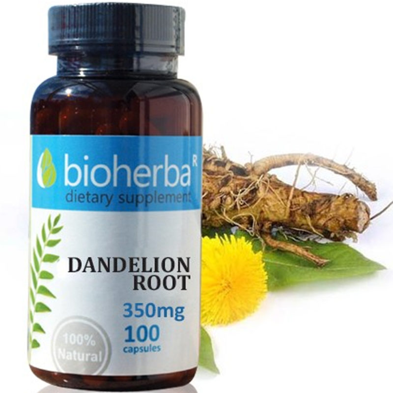Bioherba Глухарче корен / Dandelion Root 350 mg x 100 капсули
