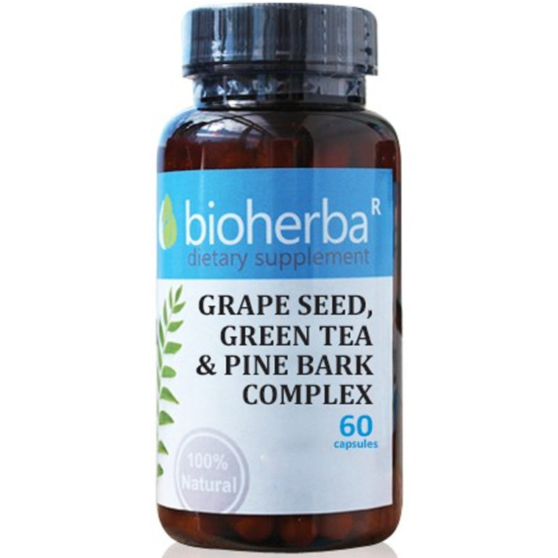 Bioherba Гроздови семена зелен чай борова кора / Grape Seed Green Tea Pine Bark x 60 капсули