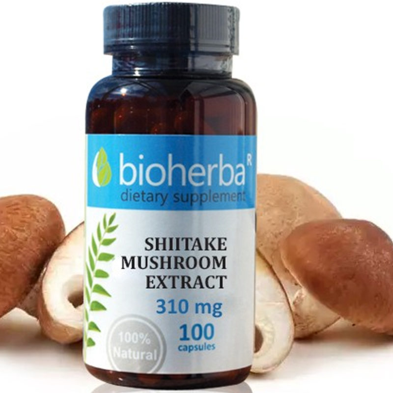Bioherba Гъба Шийтаке / Shiitake Mushroom 310 mg x 100 капсули