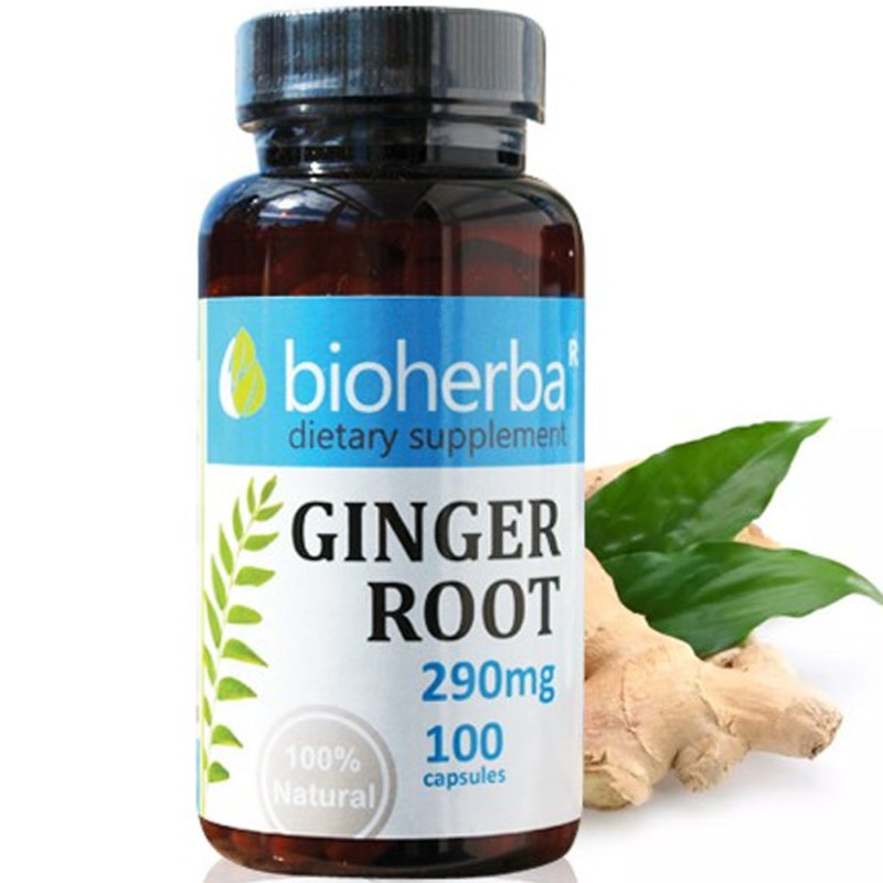 Bioherba Джинджифил / Ginger 290 mg x 100 капсули
