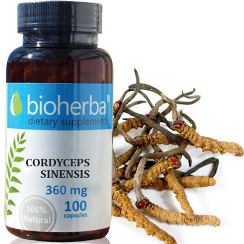 Bioherba Кордицепс / Cordyceps Sinensis 360 mg x 100 капсули