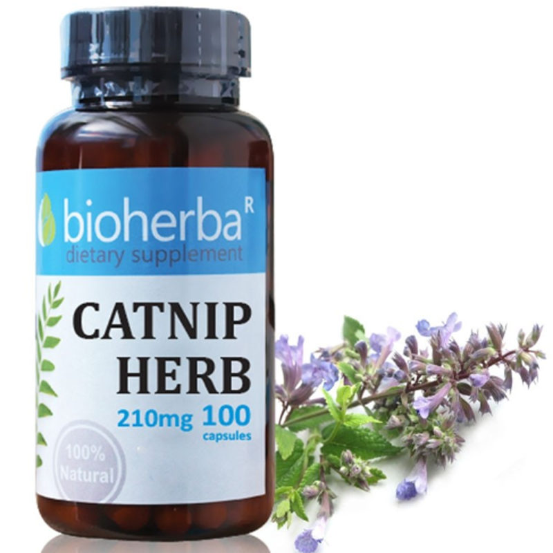Bioherba Коча билка / Catnip Herb 210 mg x 100 капсули