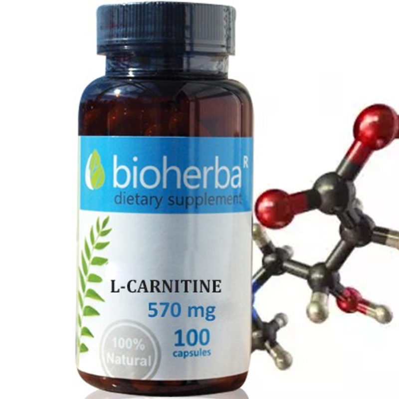 Bioherba Л-карнитин / L-Carnitine 570 mg x 100 капсули