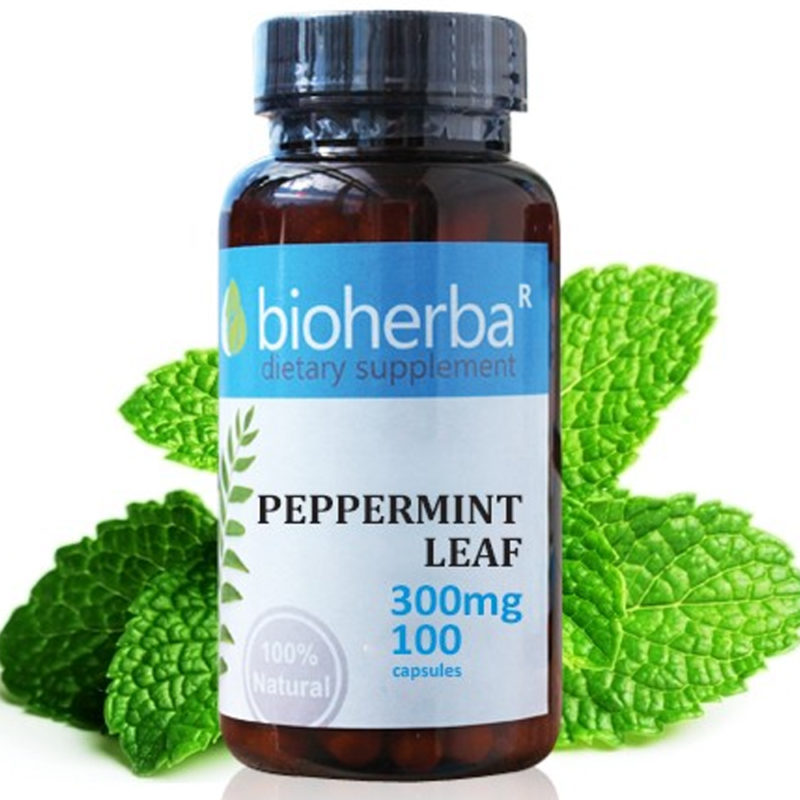 Bioherba Мента лист / Peppermint Leaf 300 mg x 100 капсули