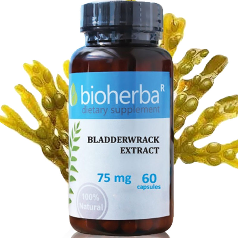 Bioherba Мехурчесто водорасло екстракт / Bladderwrack Extract 75 mg x 60 капсули