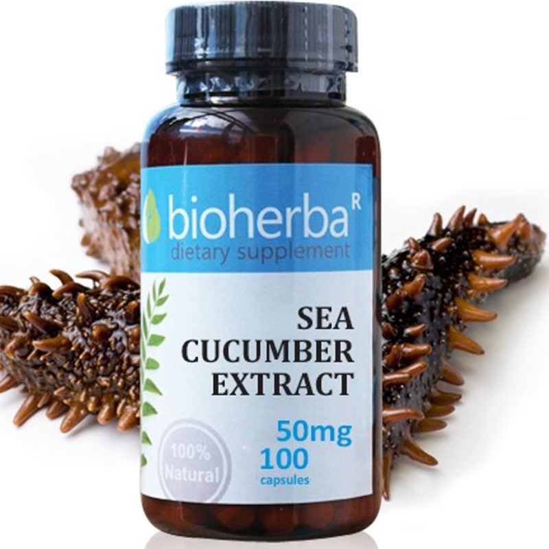 Bioherba Морска краставица / Sea Cucumber 50 mg x 100 капсули
