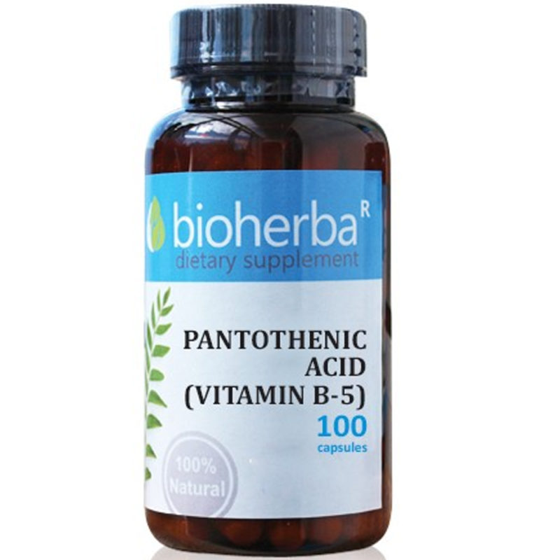 Bioherba Пантотенова Киселина Витамин Б-5 / Pantothenic Acid Vitamin B-5 60 mg x 100 капсули