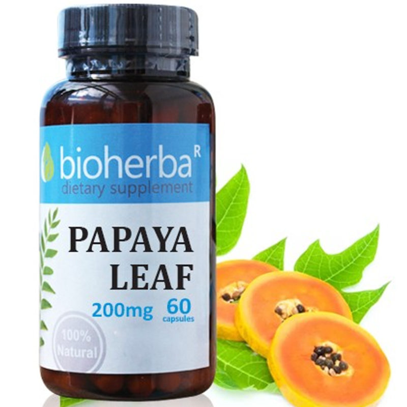 Bioherba Папая лист / Papaya Leaf 200 mg x 60 капсули