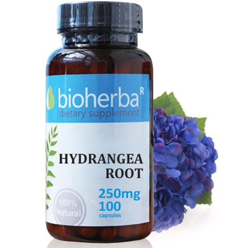 Bioherba Хортензия корен / Hydrangea Root 250 mg x 100 капсули
