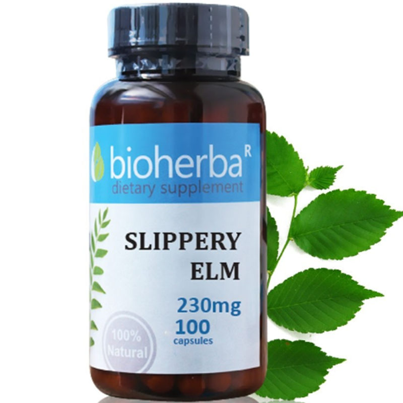 Bioherba Червен бряст / Slippery Elm 230 mg x 100 капсули