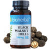 Bioherba Черен орех обвивка / Black Walnut Hulls 250 mg x 60 капсули