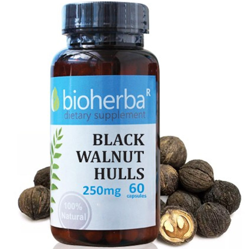 Bioherba Черен орех обвивка / Black Walnut Hulls 250 mg x 60 капсули