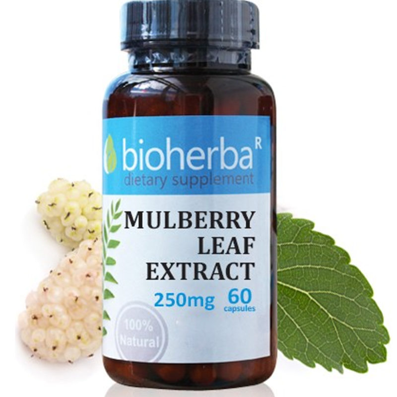 Bioherba Черница лист / Mulberry Leaf 250 mg x 60 капсули