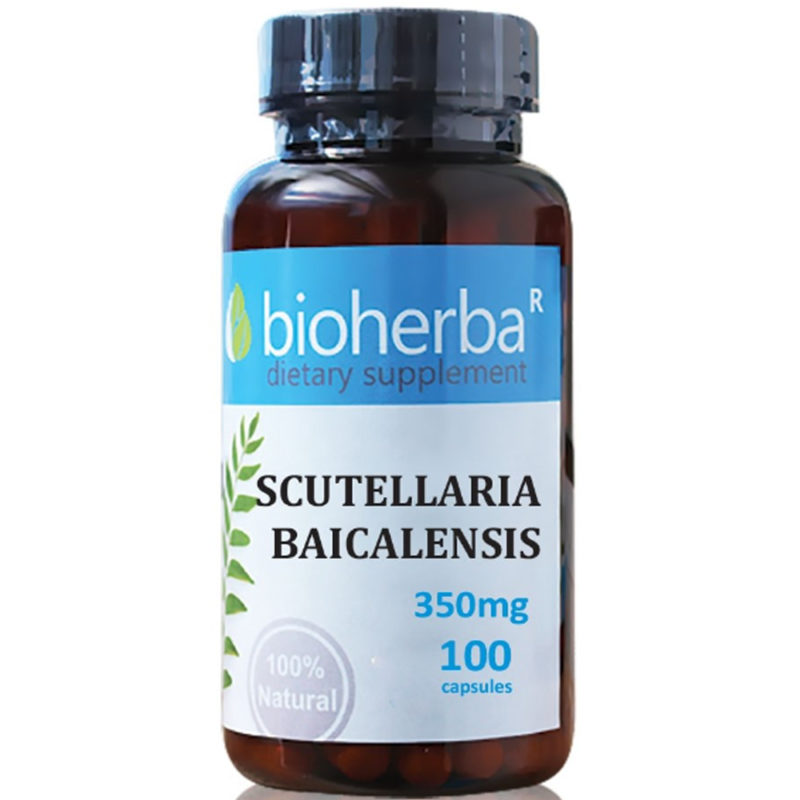 Bioherba Шлемник Байкалски / Scutellaria Baicalensis 350 mg x 100 капсули