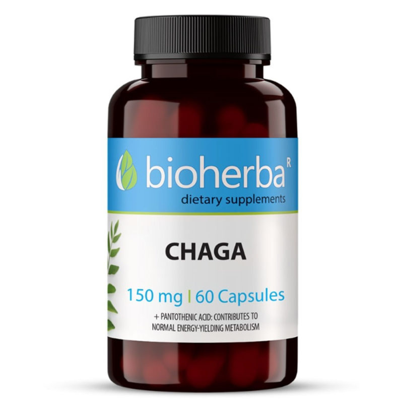 Гъба Чага / Chaga Mushroom Bioherba 150 mg x 60 капсули