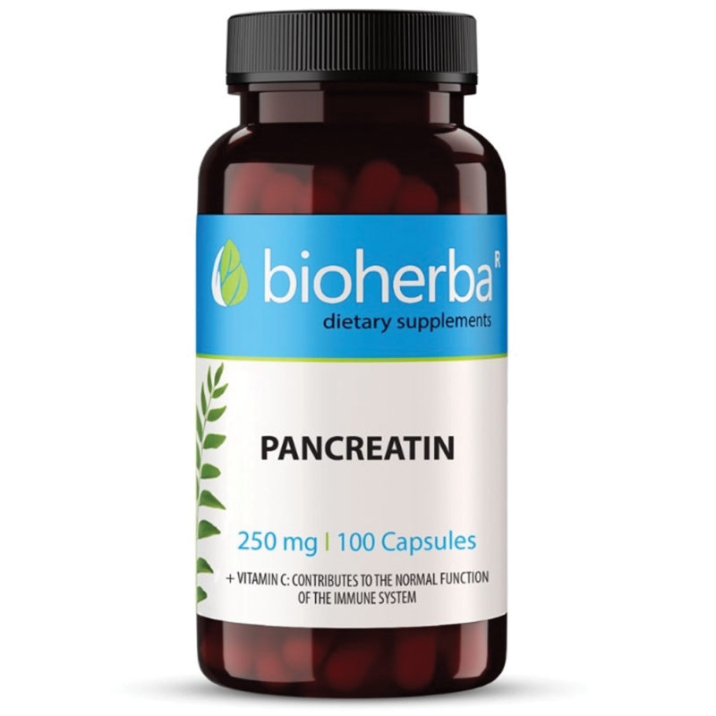 Панкреатин 10X Eнзими / Pancreatin Bioherba 10X 250 mg x 100 капсули